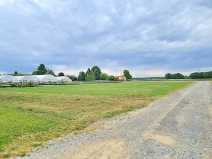 Ebene, sonnige Acker- Wiesen Freilandfläche mit eigener Zufahrt in guter Lage! Ebene, sonnige Acker- Wiesen Freilandfläche mit eigener Zufahrt in guter Lage!