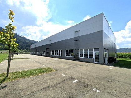 Hallen / Lager / Produktion in 8700 Leoben