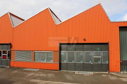 Hallen / Lager / Produktion in 8409 Winterthur