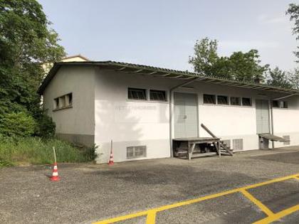 Hallen / Lager / Produktion in 3250 Lyss