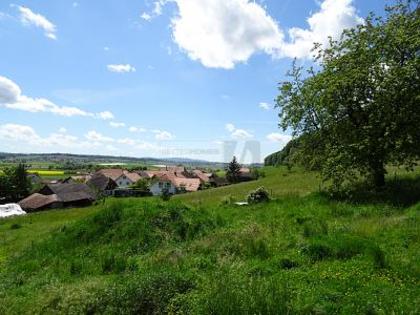 Häuser in 4588 Oberramsern