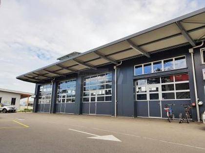 Hallen / Lager / Produktion in 3212 Gurmels