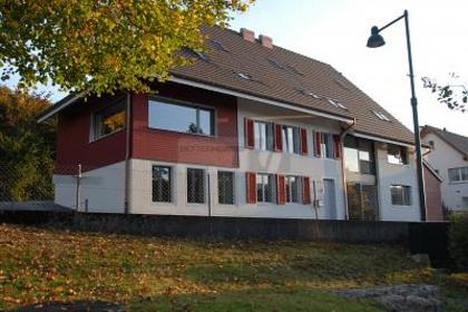Wohnungen in 4419 Lupsingen