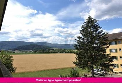 Wohnungen in 2800 Delsberg