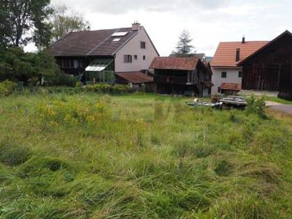 Grundstücke in 4118 Rodersdorf