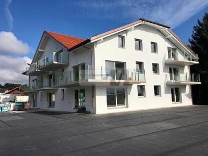 Sonstige in 1124 Gollion