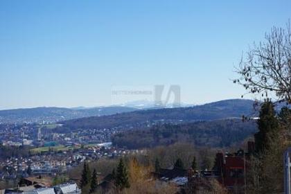 Wohnungen in 8962 Bergdietikon