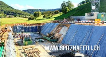 Wohnungen in 5079 Zeihen