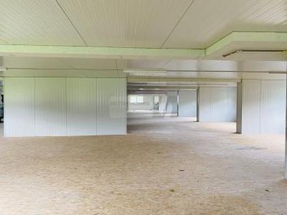 Hallen / Lager / Produktion in 6423 Seewen