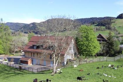 Häuser in 6313 Menzingen