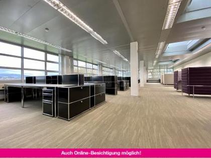 Büros /Praxen in 6300 Zug