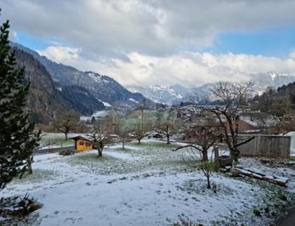 Wohnungen in 3814 Gsteigwiler