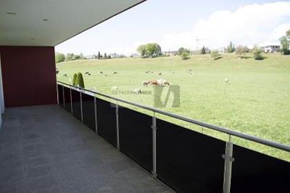 Wohnungen in 4628 Wolfwil