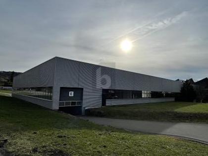 Hallen / Lager / Produktion in 9300 Wittenbach