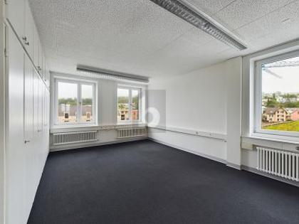 Büros /Praxen in 5443 Niederrohrdorf