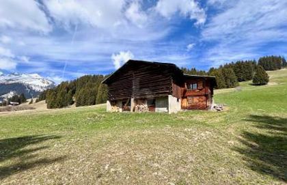 Häuser in 7165 Breil/Brigels