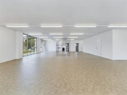 Büros /Praxen in 3065 Bolligen