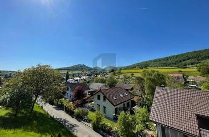 Häuser in 5018 Erlinsbach