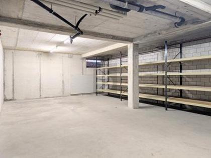 Hallen / Lager / Produktion in 8630 Rüti