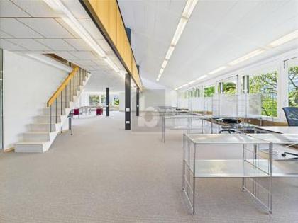 Büros /Praxen in 3600 Thun