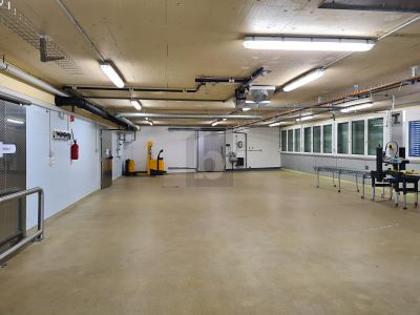 Hallen / Lager / Produktion in 6024 Hildisrieden