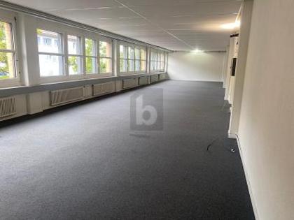 Büros /Praxen in 8052 Zürich