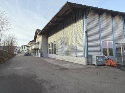 Hallen / Lager / Produktion in 6280 Urswil