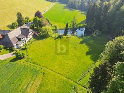 Gastgewerbe in 4934 Madiswil