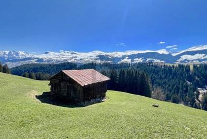 Häuser in 7165 Breil/Brigels
