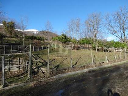 Grundstücke in 6986 Miglieglia