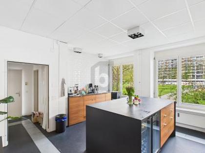 Büros /Praxen in 8004 Zürich