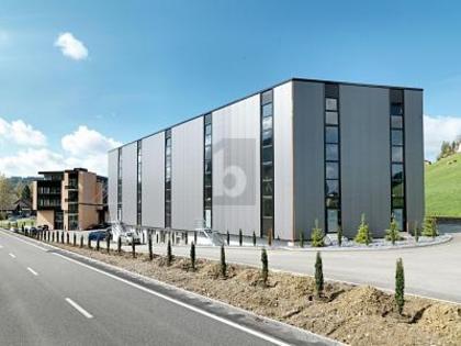 Hallen / Lager / Produktion in 8344 Bäretswil