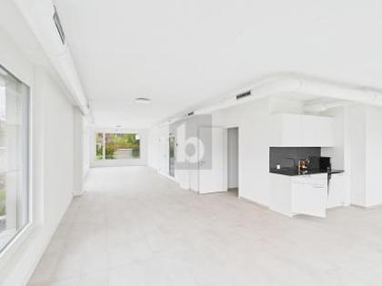 Büros /Praxen in 8246 Langwiesen
