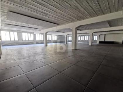 Hallen / Lager / Produktion in 4052 Basel