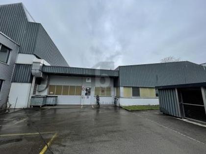Hallen / Lager / Produktion in 9300 Wittenbach