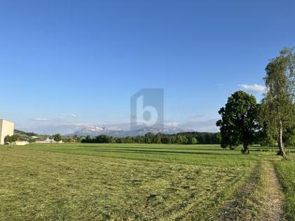 Büros /Praxen in 6018 Buttisholz