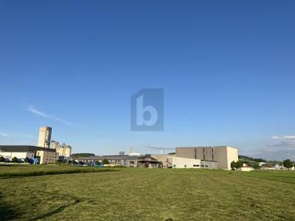 Büros /Praxen in 6018 Buttisholz