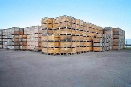 Hallen / Lager / Produktion in 1117 Grancy