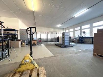 Hallen / Lager / Produktion in 8953 Dietikon