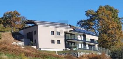 Wohnungen in 6516 Cugnasco