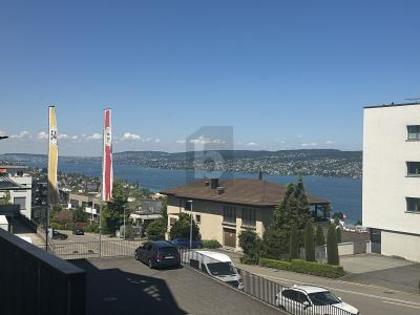Büros /Praxen in 8810 Horgen