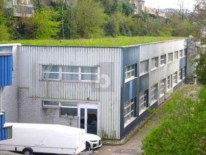 Hallen / Lager / Produktion in 1315 La Sarraz