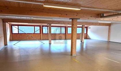 Hallen / Lager / Produktion in 6146 Grossdietwil