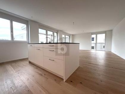 Wohnungen in 5737 Menziken