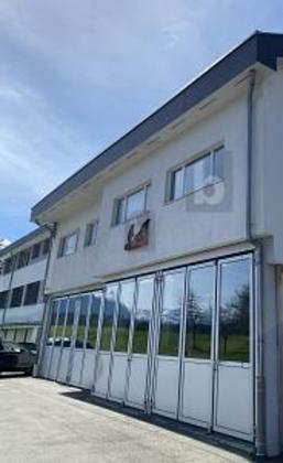 Hallen / Lager / Produktion in 3665 Wattenwil