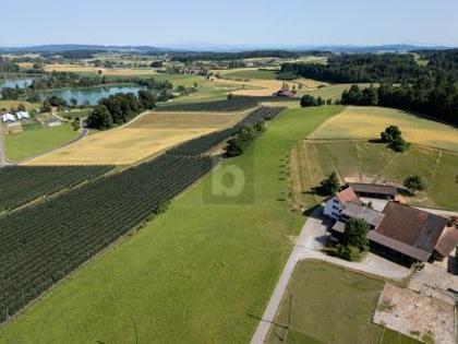 Häuser in 8477 Oberstammheim
