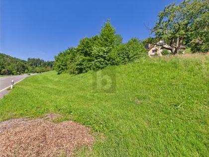 Grundstücke in 9442 Berneck