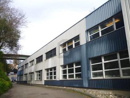 Hallen / Lager / Produktion in 1315 La Sarraz