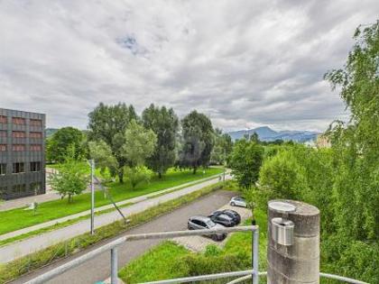 Büros /Praxen in 6010 Kriens