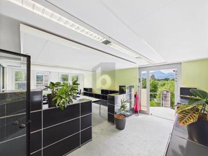 Büros /Praxen in 6010 Kriens